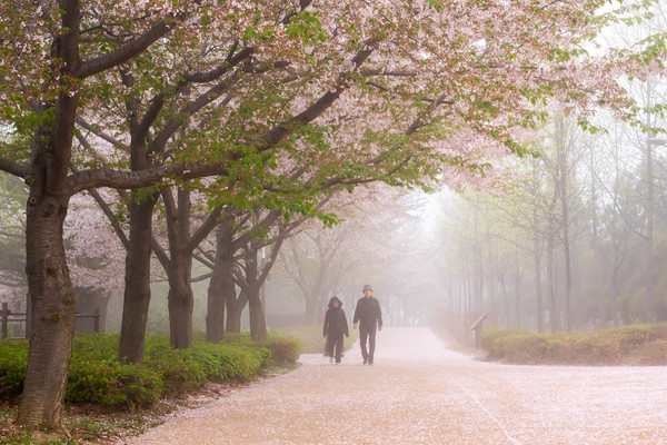 월미공원-황경자