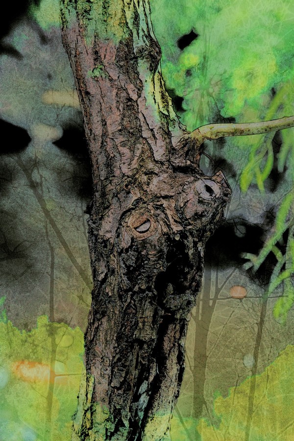 나무한그루 Digital Print  50 x 34 cm  2021 - 베너용