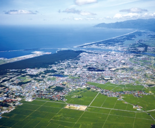 노시로 시 해안을 따라 남북으로 뻗은 해송(출처 : 일본의 마쓰바라 재생운동 홈페이지)