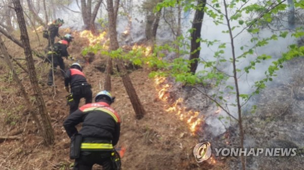 26일 오후 2시 44분께 인천시 강화군 마니산에서 큰불이 나 산불진화대원들이 진화작업을 벌이고 있다. [산림청 제공]