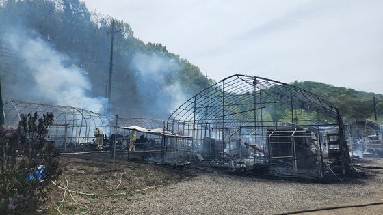 28일 오후 인천시 계양구 귤현동 농원 비닐하우스에서 화재가 발생해 비닐하우스 13개 동이 전소됐다. 사진=인천소방본부