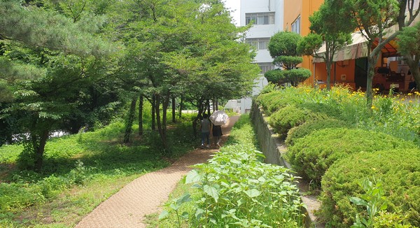 신성 학원의 학교 정원