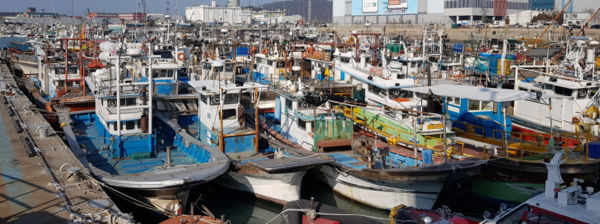 인천 연안부두에 정박해 있는 어선들(사진제공=인천시)