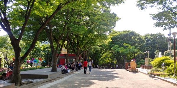 계양산 장미원 앞 산책로, 2024ⓒ유광식